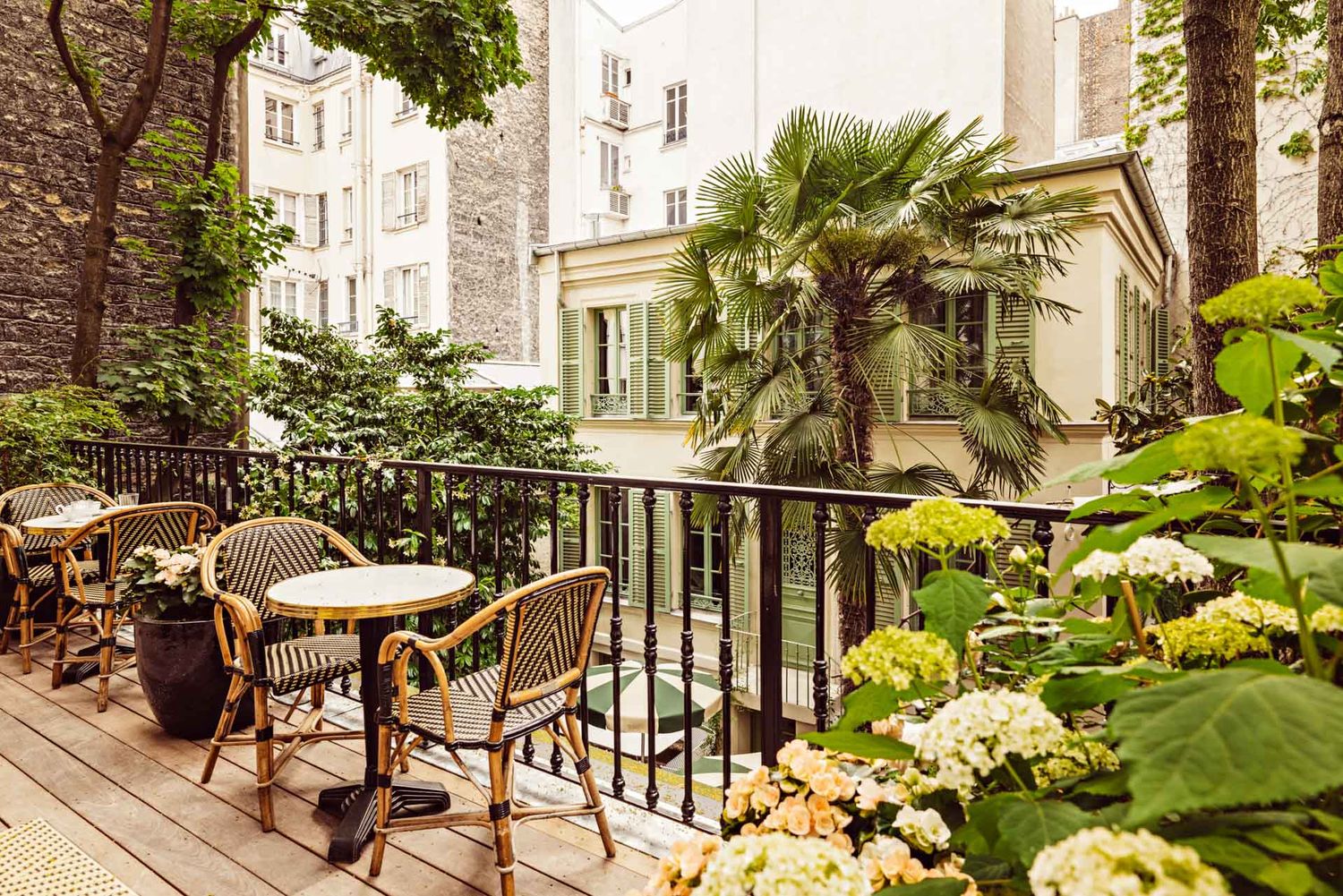 A scenic balcony view of Arc de Triomphe and autumn trees along the Parisian street with classic Haussmann buildings.