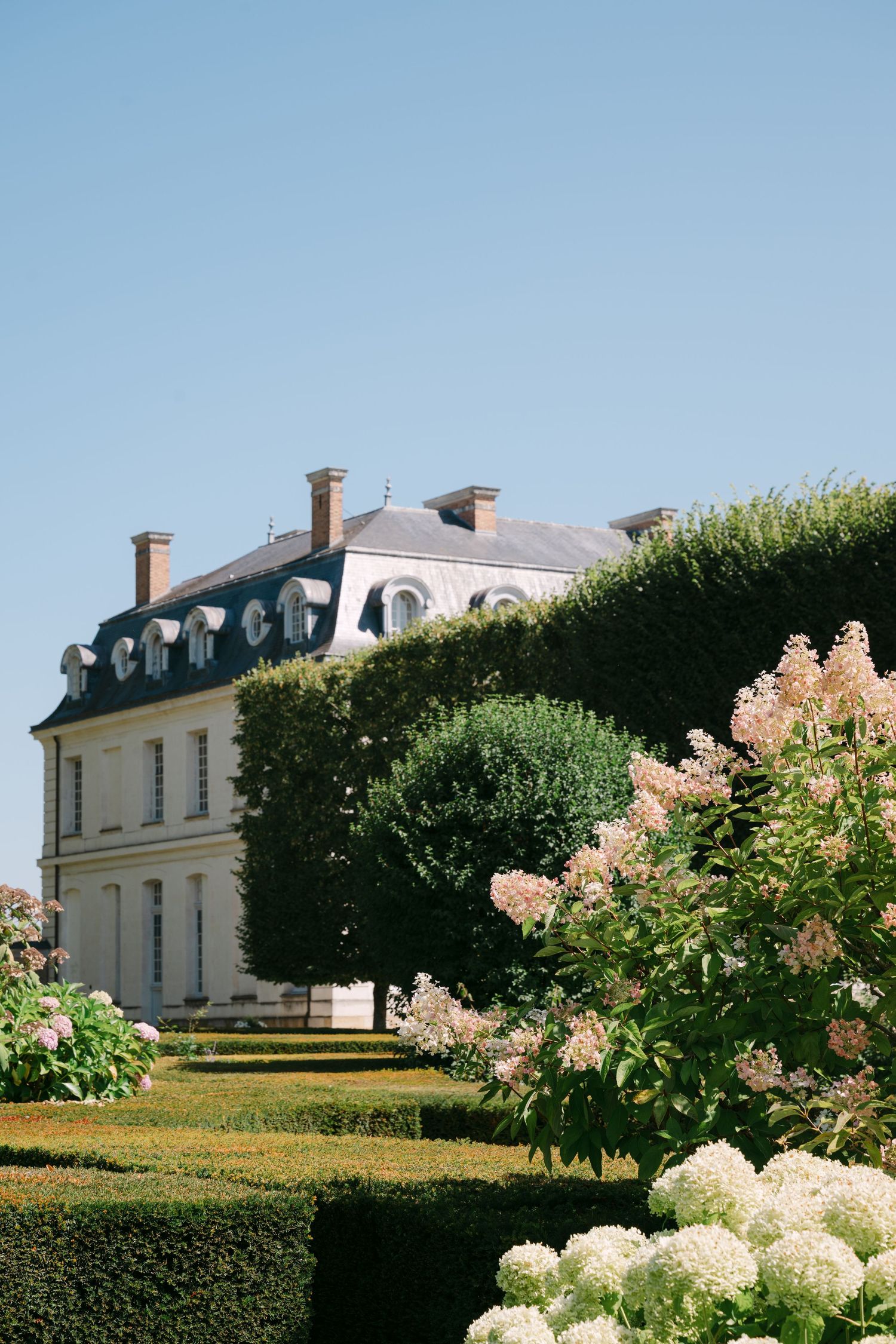 Elegant French château with mansard roof surrounded by manicured hedges and blooming hydrangeas under blue sky.