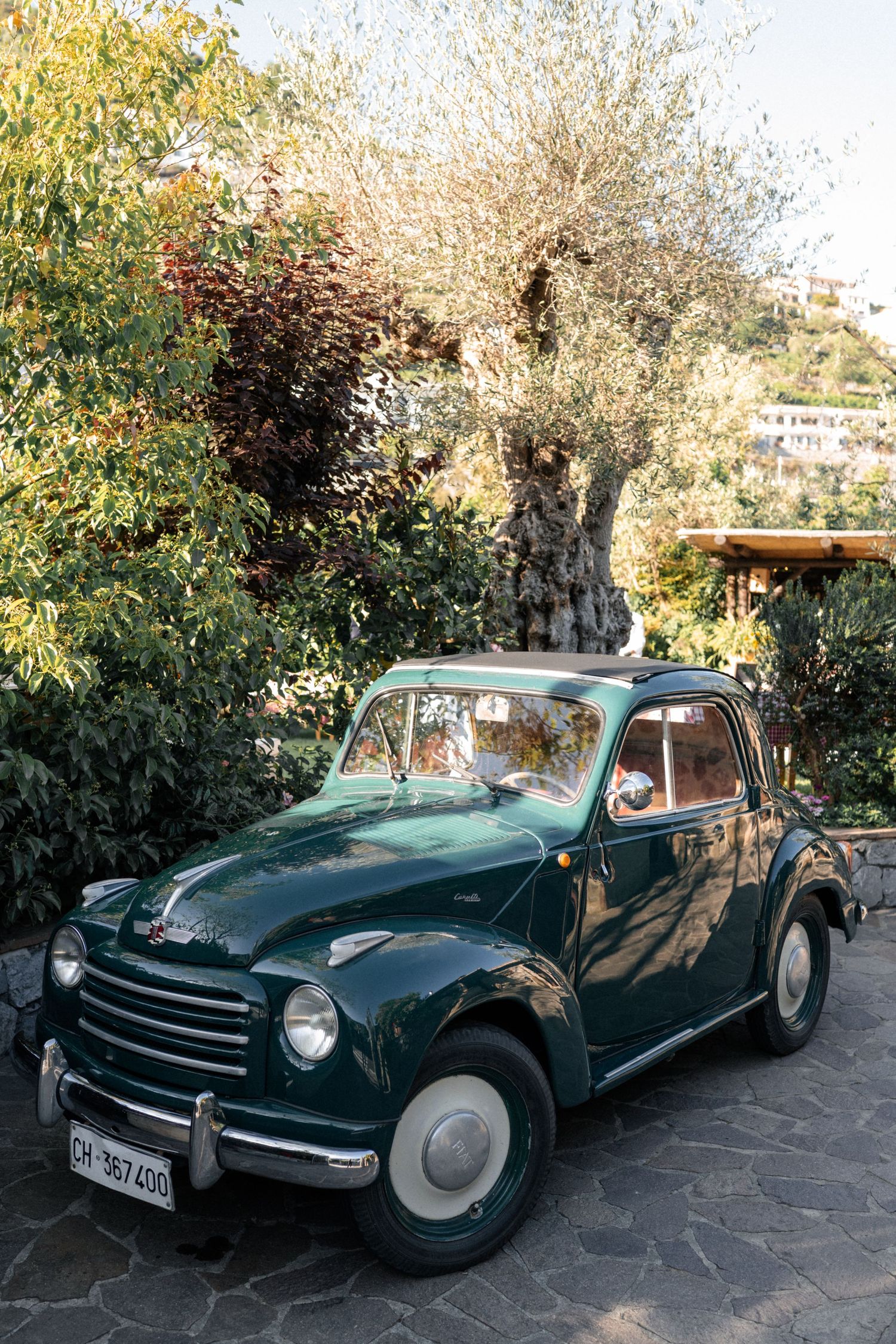 Classic vintage dark green Fiat 500 parked beside an old olive tree in Italian garden.