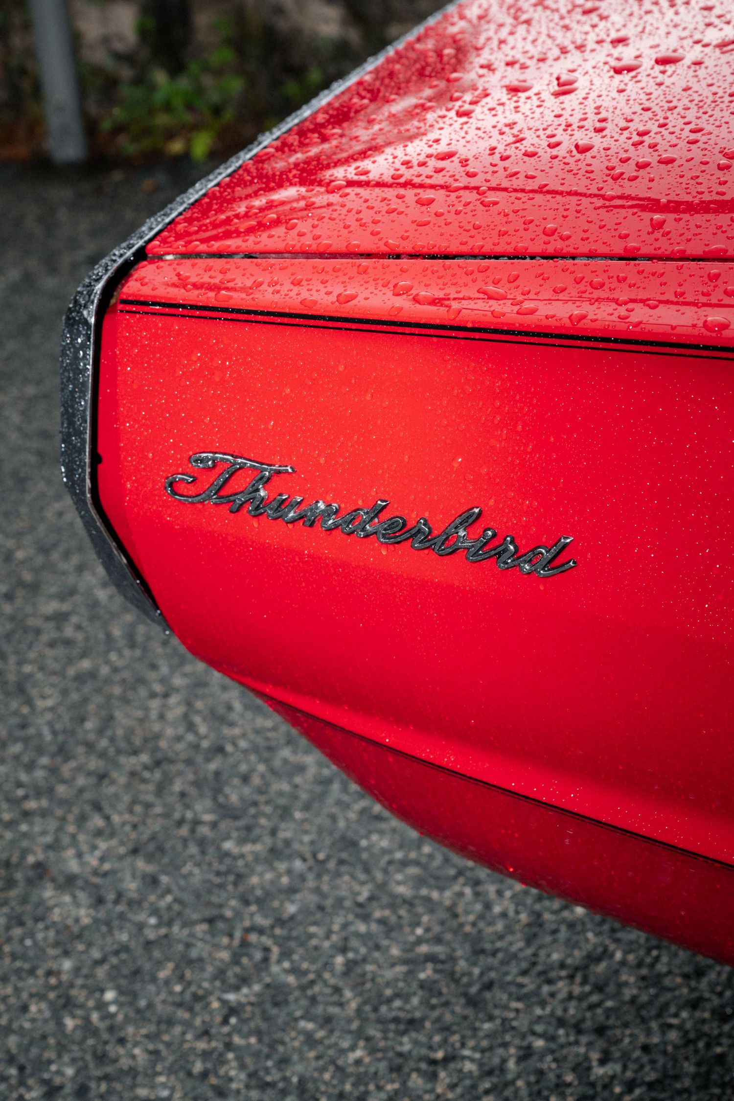 Close-up of rain-covered red Ford Thunderbird emblem on a classic vintage car.