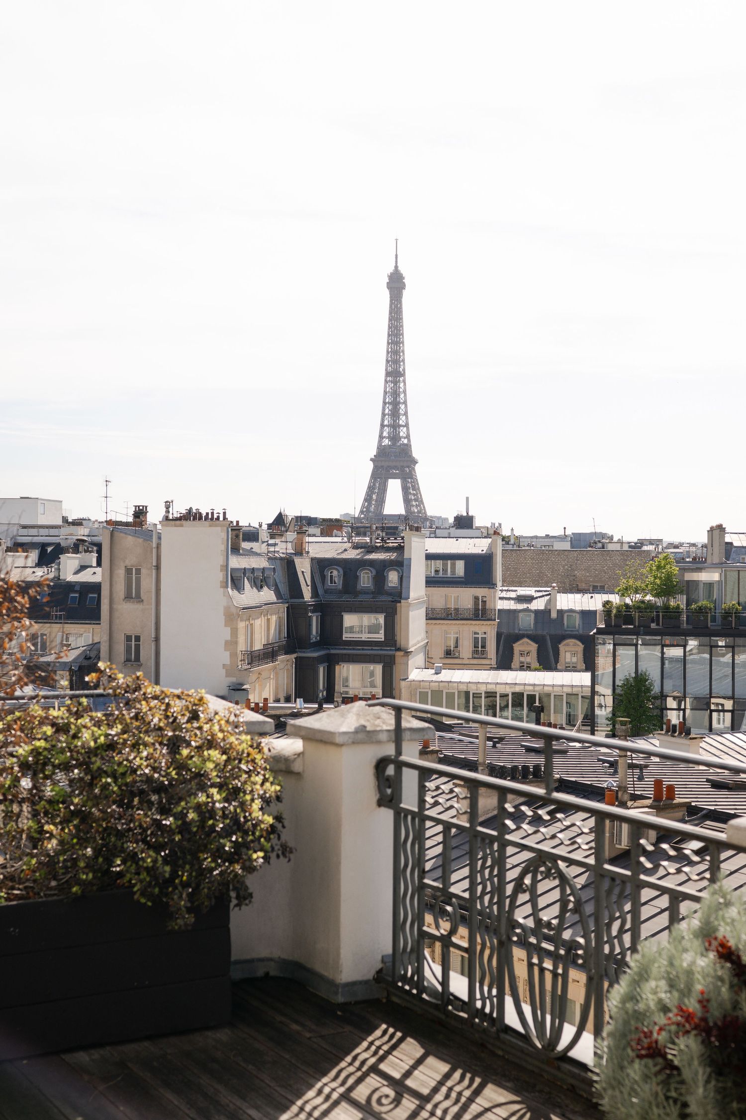 Rooftop terrace view of Paris skyline with the iconic Eiffel Tower rising above Haussmann buildings on a sunny day.