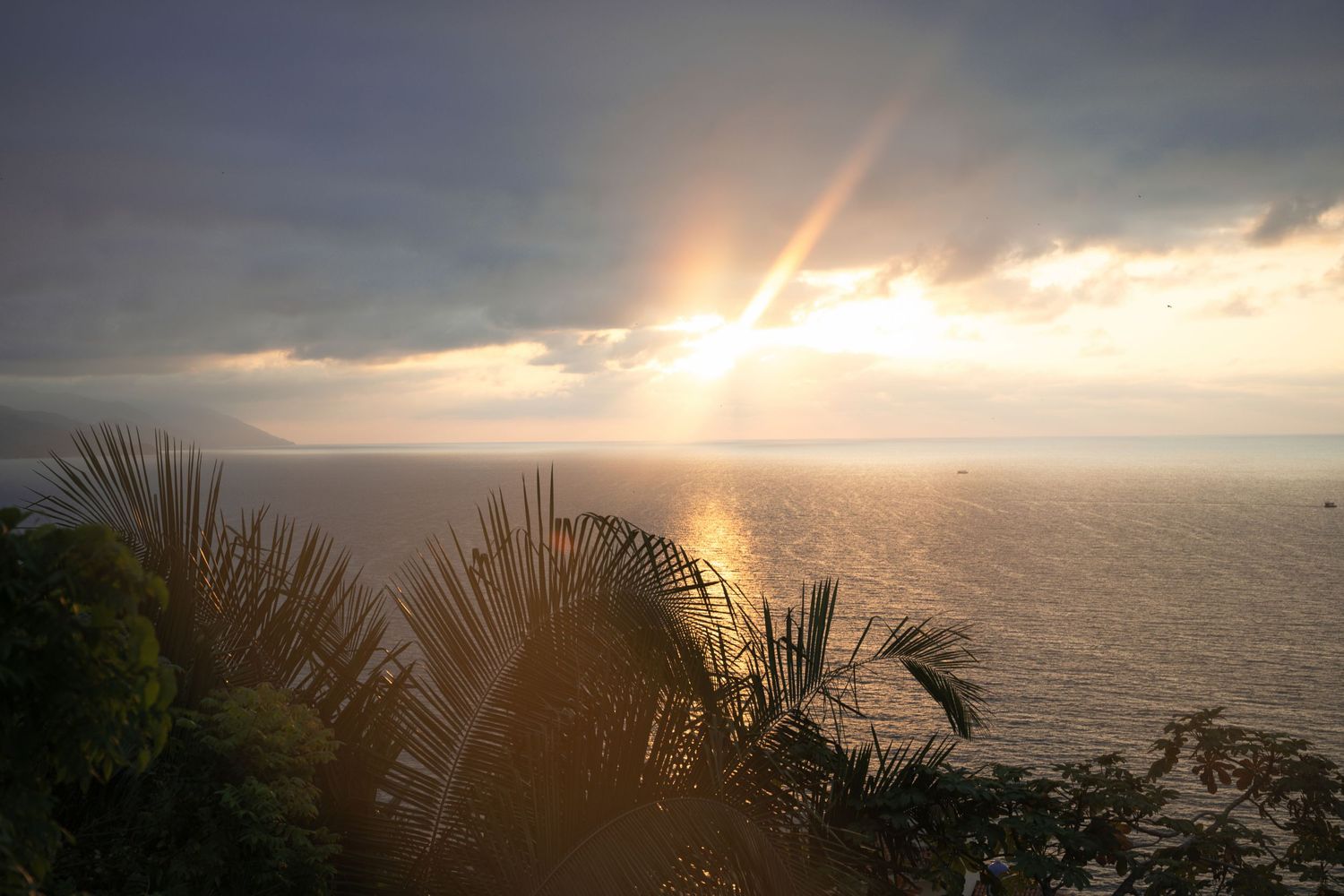 Stunning tropical sunset over calm ocean waters with palm trees silhouetted against golden rays breaking through dramatic clouds.