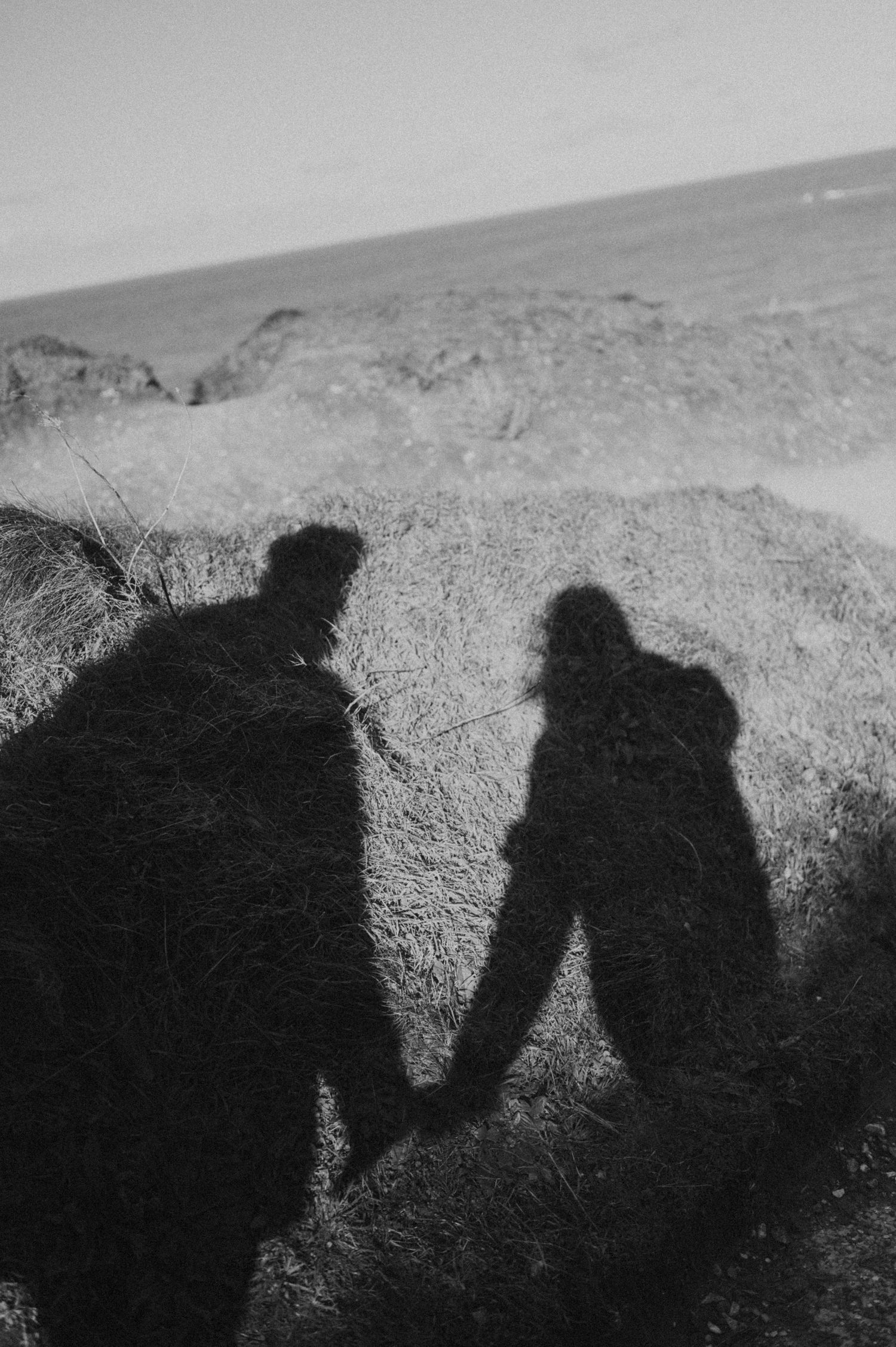 Black and white silhouette of two shadows holding hands against a rocky landscape.