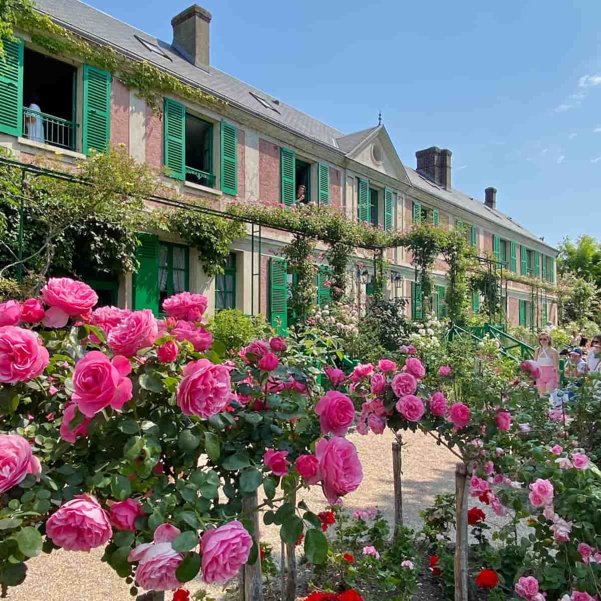 Pink roses bloom in front of a historic French mansion with green shutters and classic architecture.