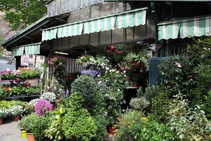 Charming flower shop storefront with colorful blooms and green striped awnings.