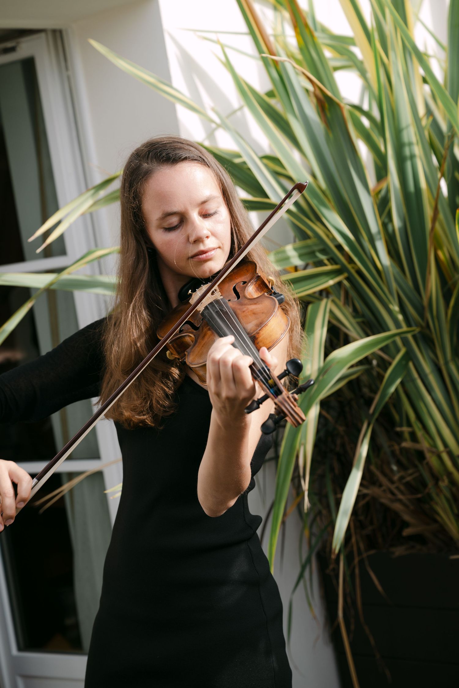 A violinist in a black dress performs gracefully against a backdrop of tropical plants and white walls.