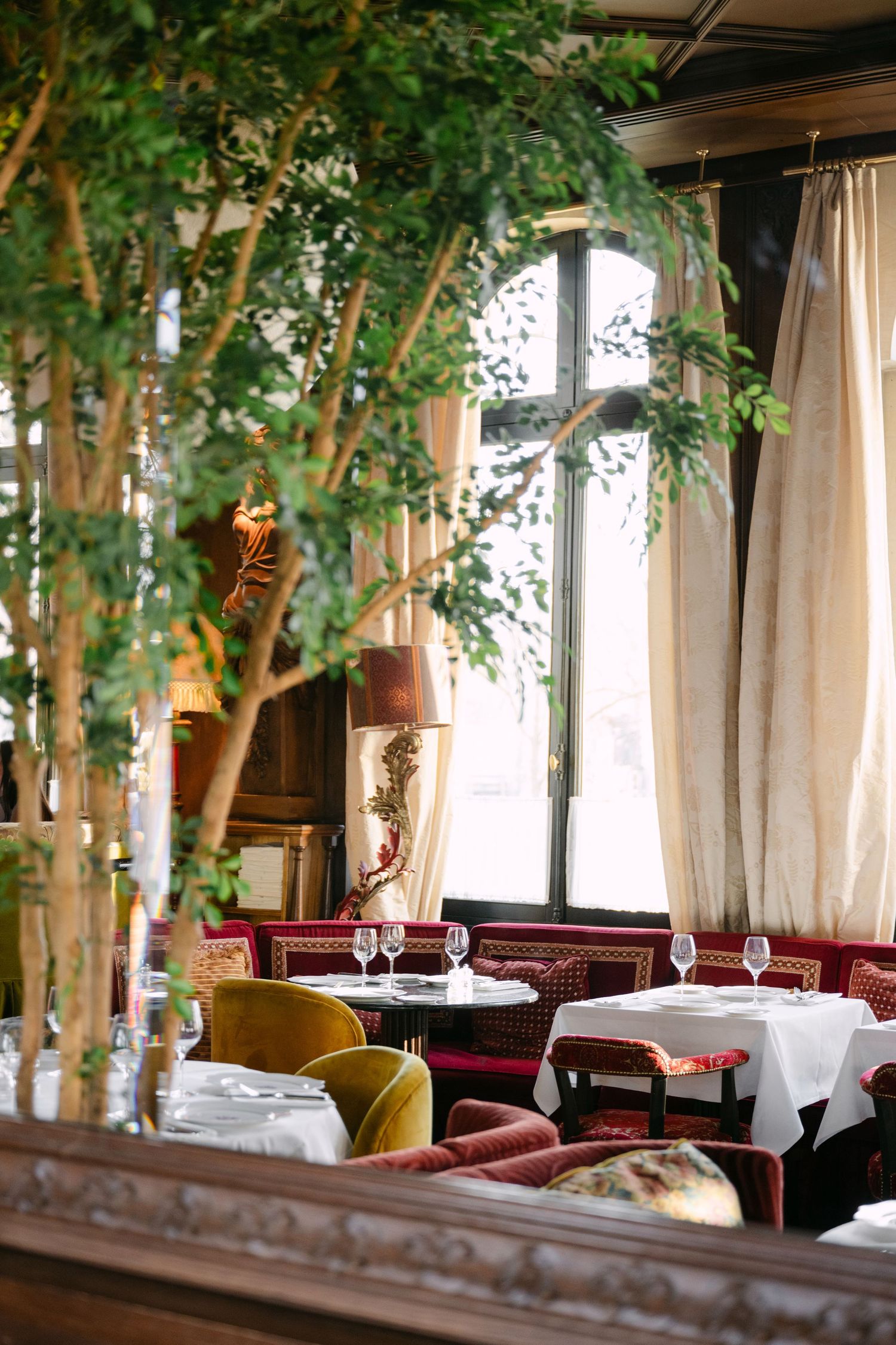 Elegant restaurant interior with tall indoor trees, white tablecloths, velvet chairs, and large draped windows.