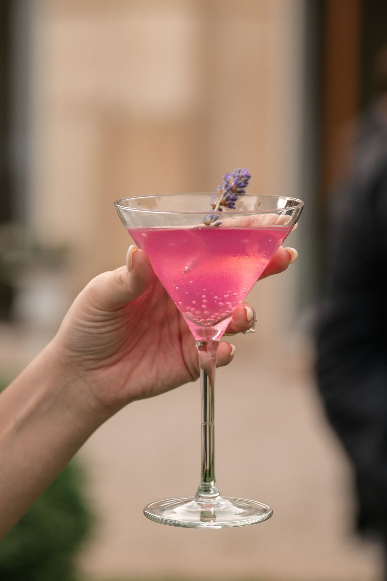 Four identical pink cocktails in martini glasses garnished with lavender sprigs against a blurred background.