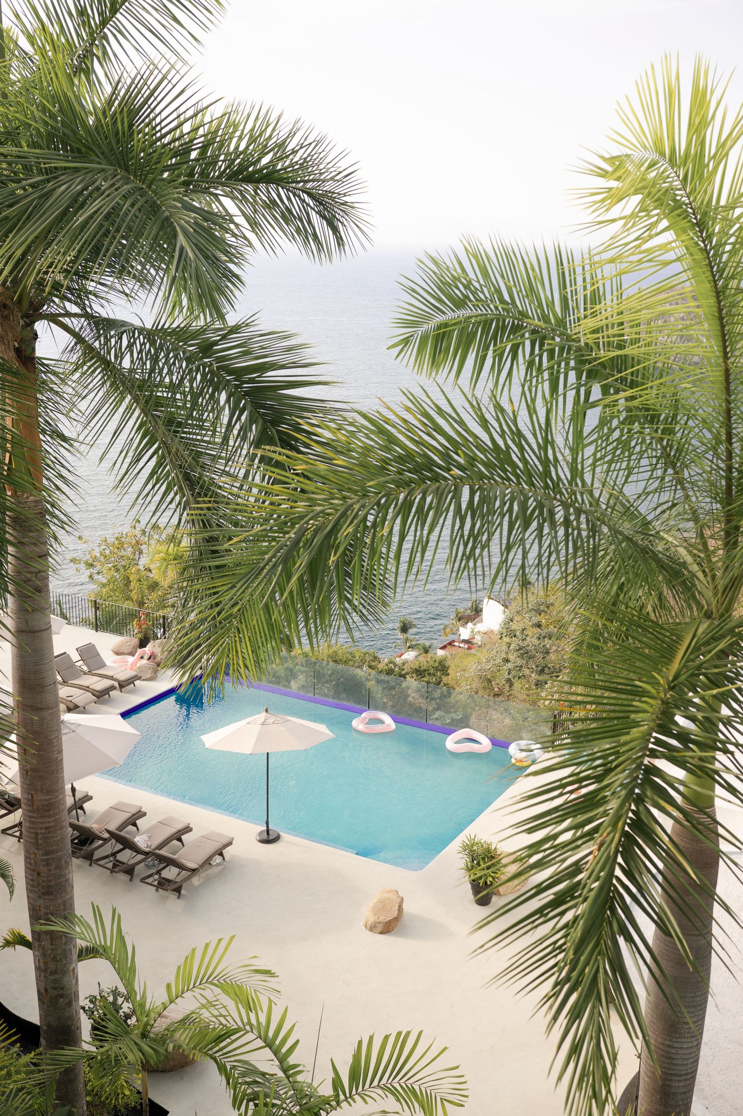Aerial view of a tropical resort infinity pool with palm trees, lounge chairs, and ocean backdrop.