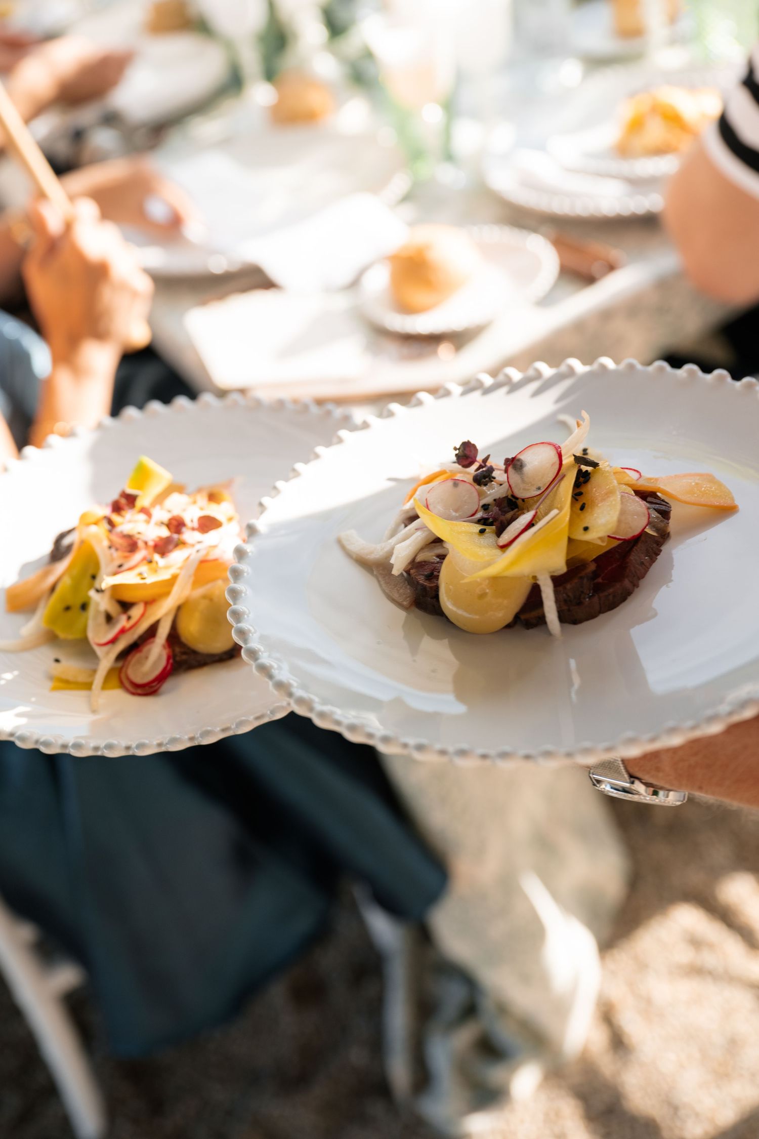 Elegant plated gourmet dishes being served by a waiter at an outdoor wedding reception.