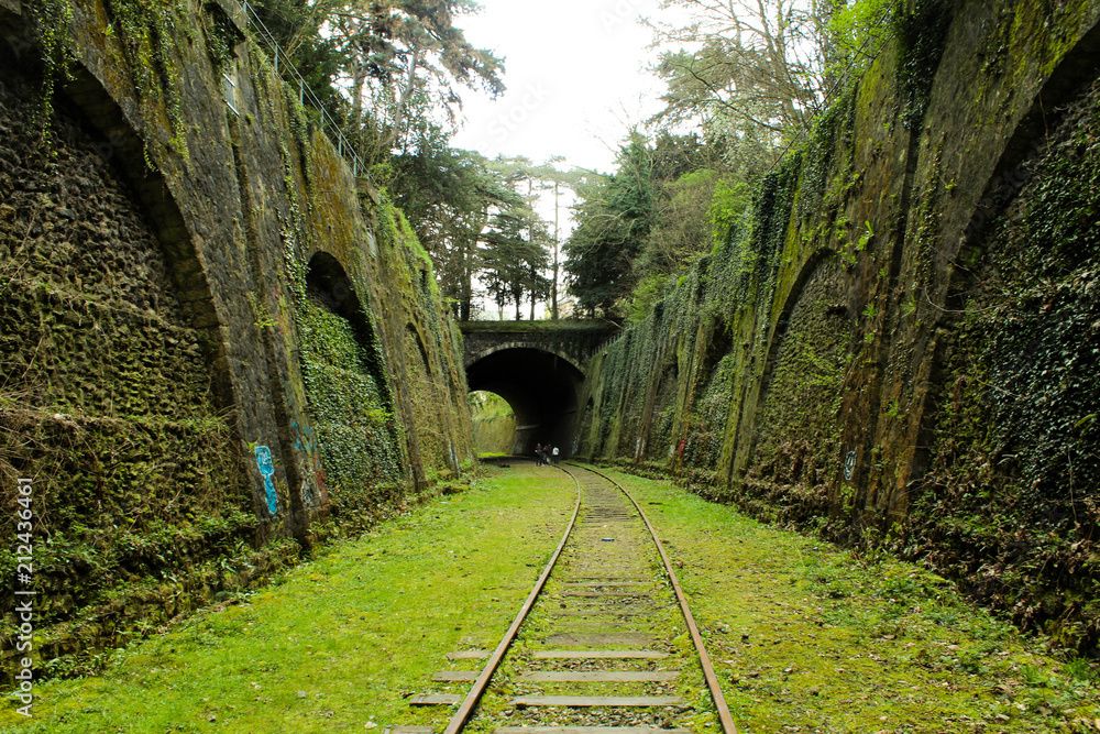 Abandoned railway tracks covered in moss running through green ivy-covered walls into a tunnel.