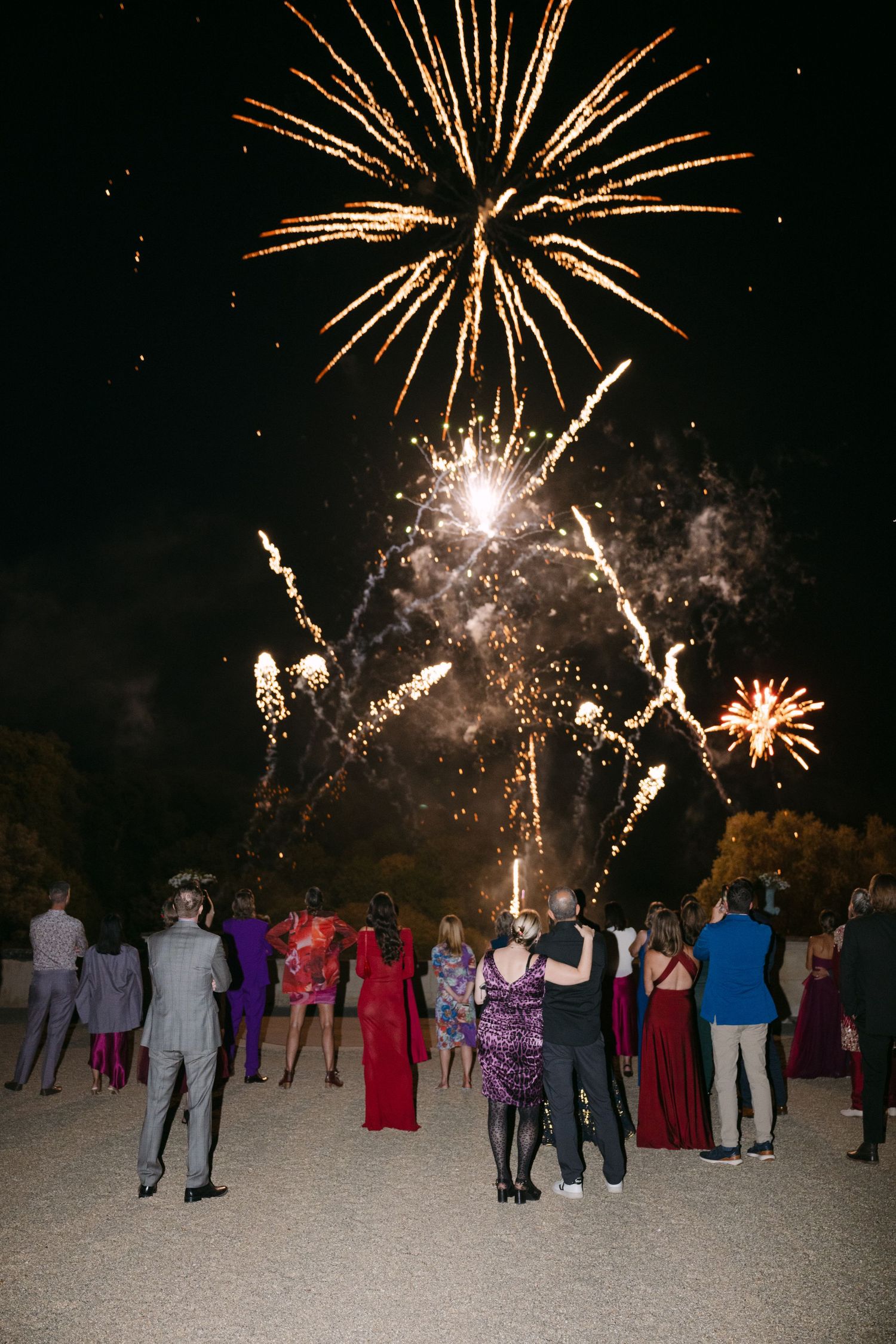 Formally dressed wedding guests watching a spectacular golden fireworks display in the night sky.