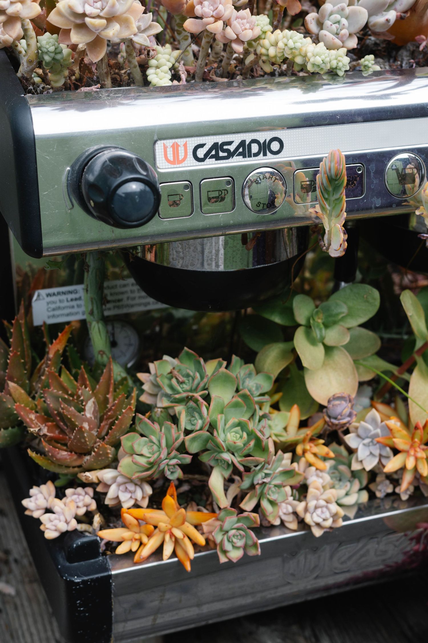 A Casadio espresso machine repurposed as a planter filled with colorful succulents and small cacti.