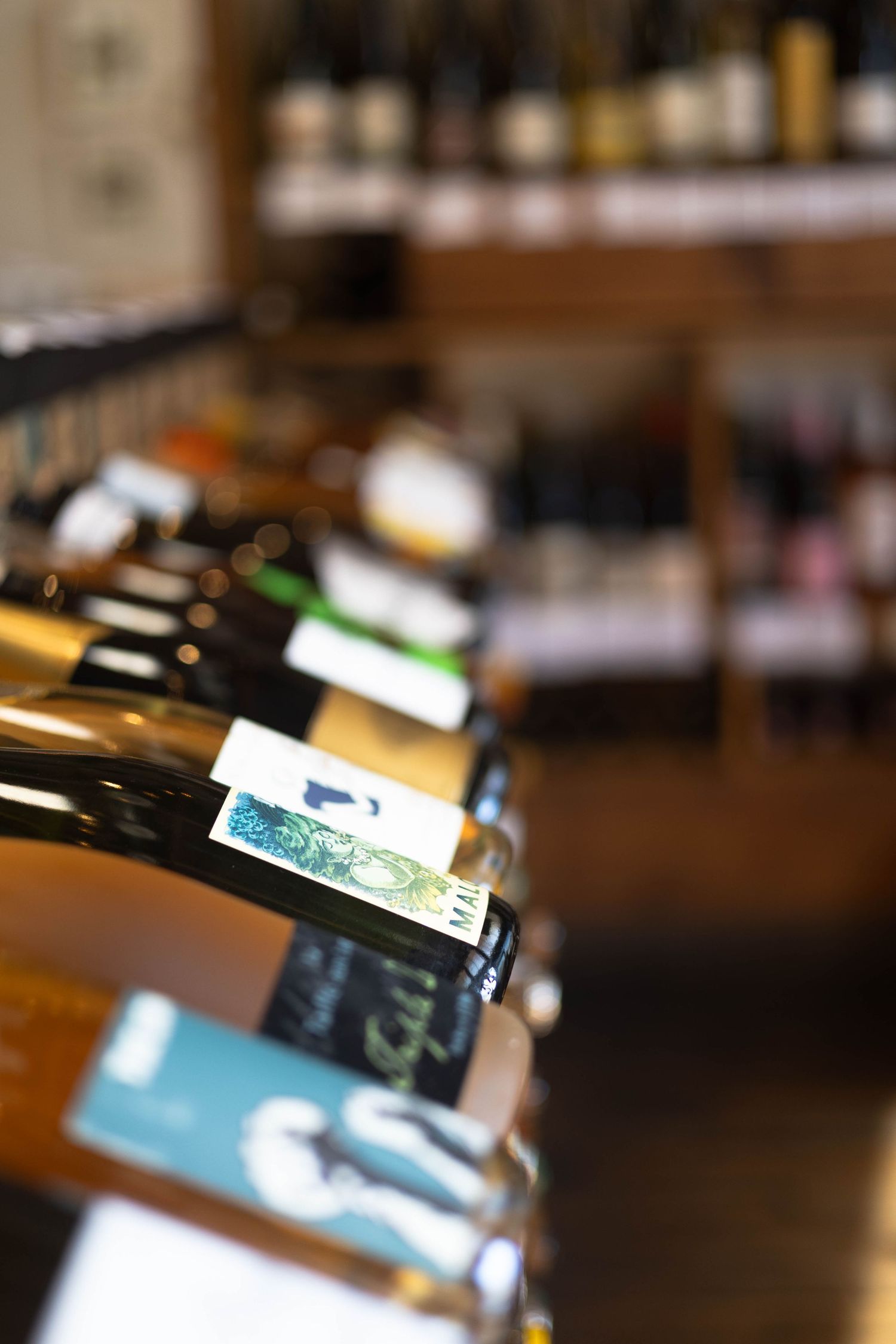 Rows of wine bottles displayed on wooden shelves in a wine shop, with labels visible in soft focus lighting.