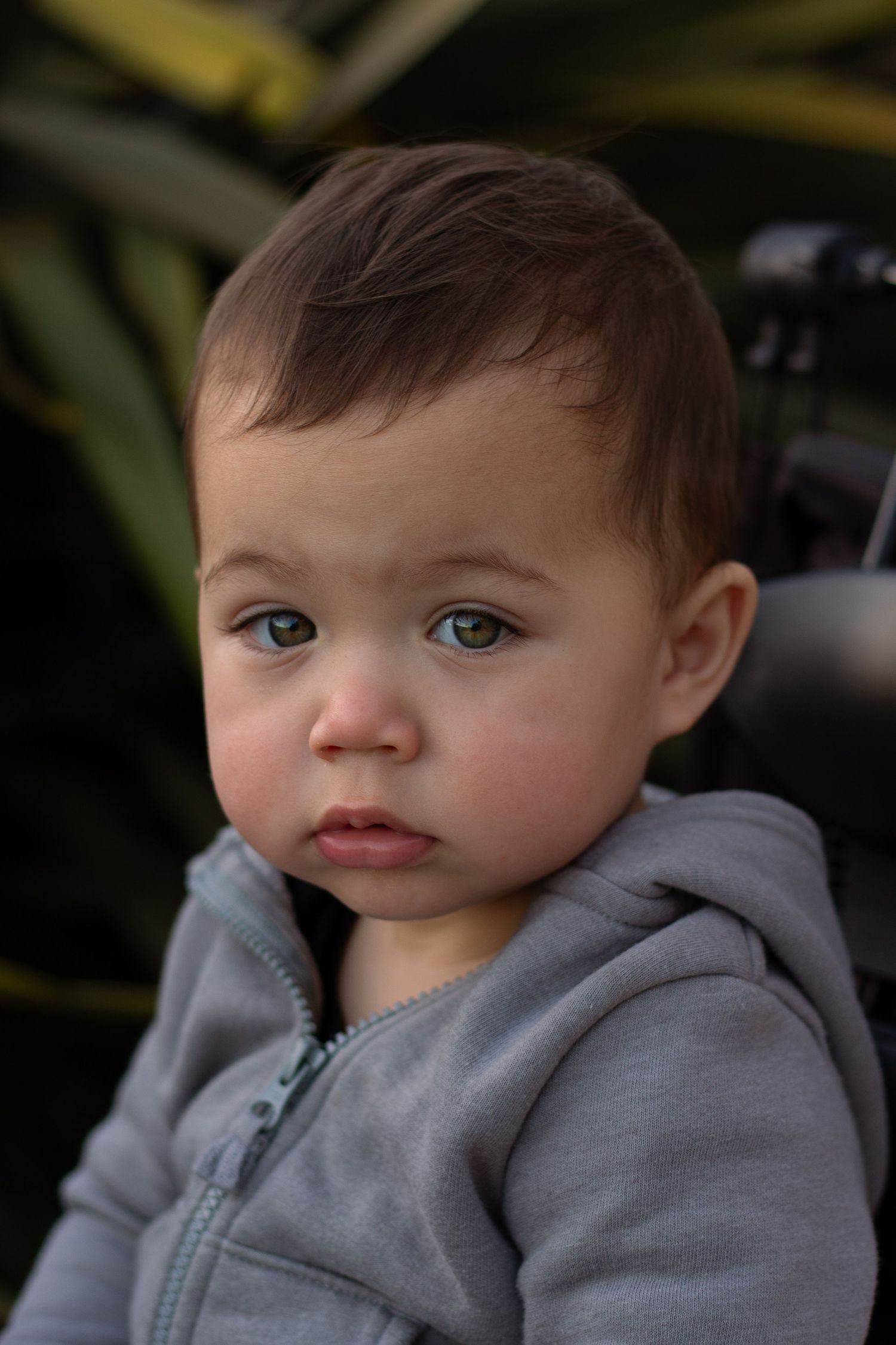 A cute baby boy with gray eyes wearing a gray hoodie sits outdoors near green foliage.