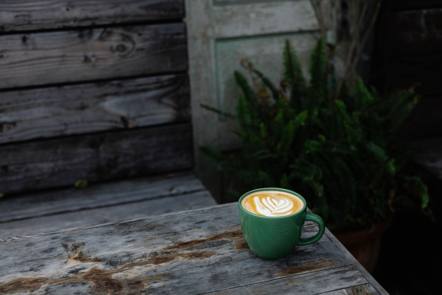 Green mug with latte art on a rustic wooden table beside a fern plant.