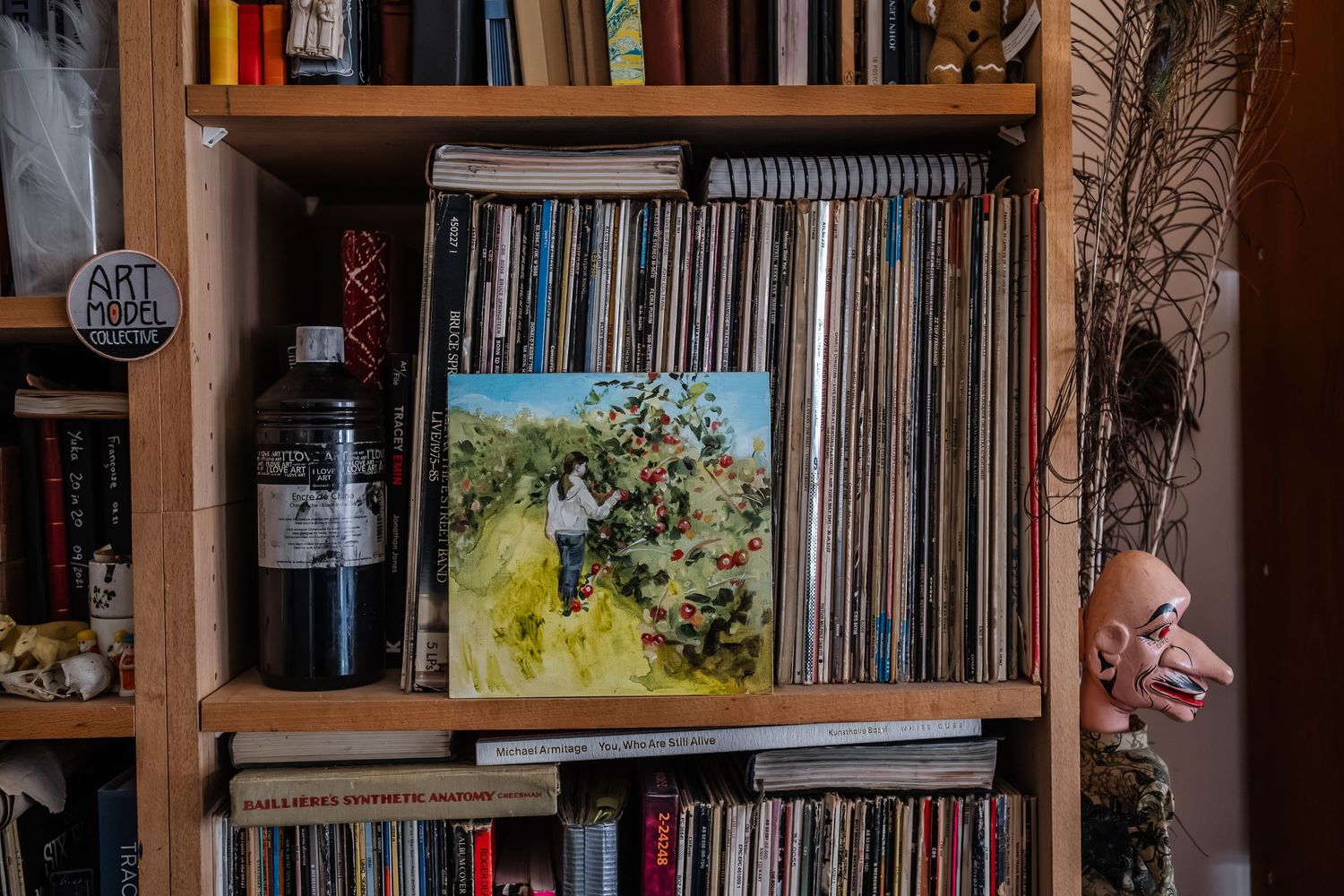Vinyl record collection displayed on wooden shelving unit with books.