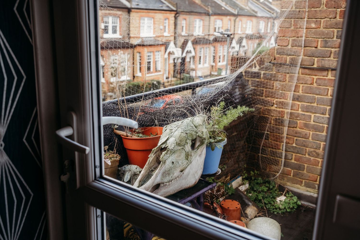Open window view of small urban balcony garden with potted plants and winter decorations.