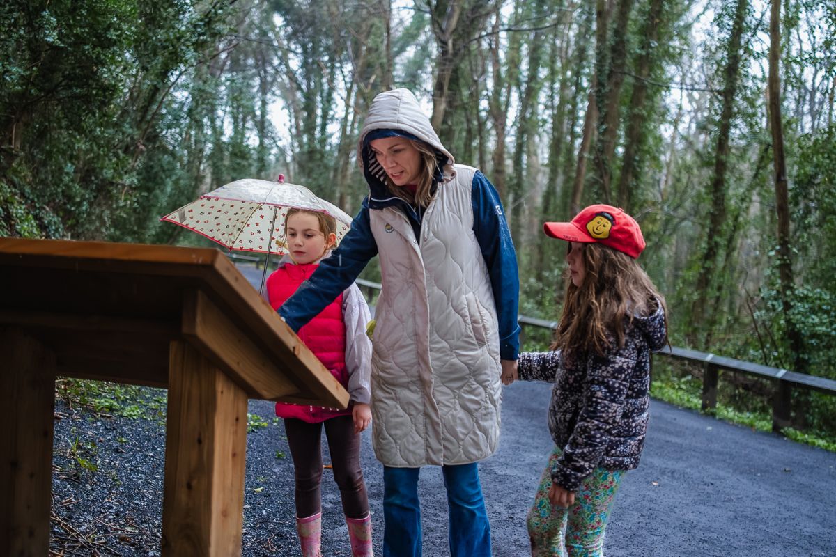 Woman and two children in hats explore a woodland trail, examining a wooden information board on a rainy day.
