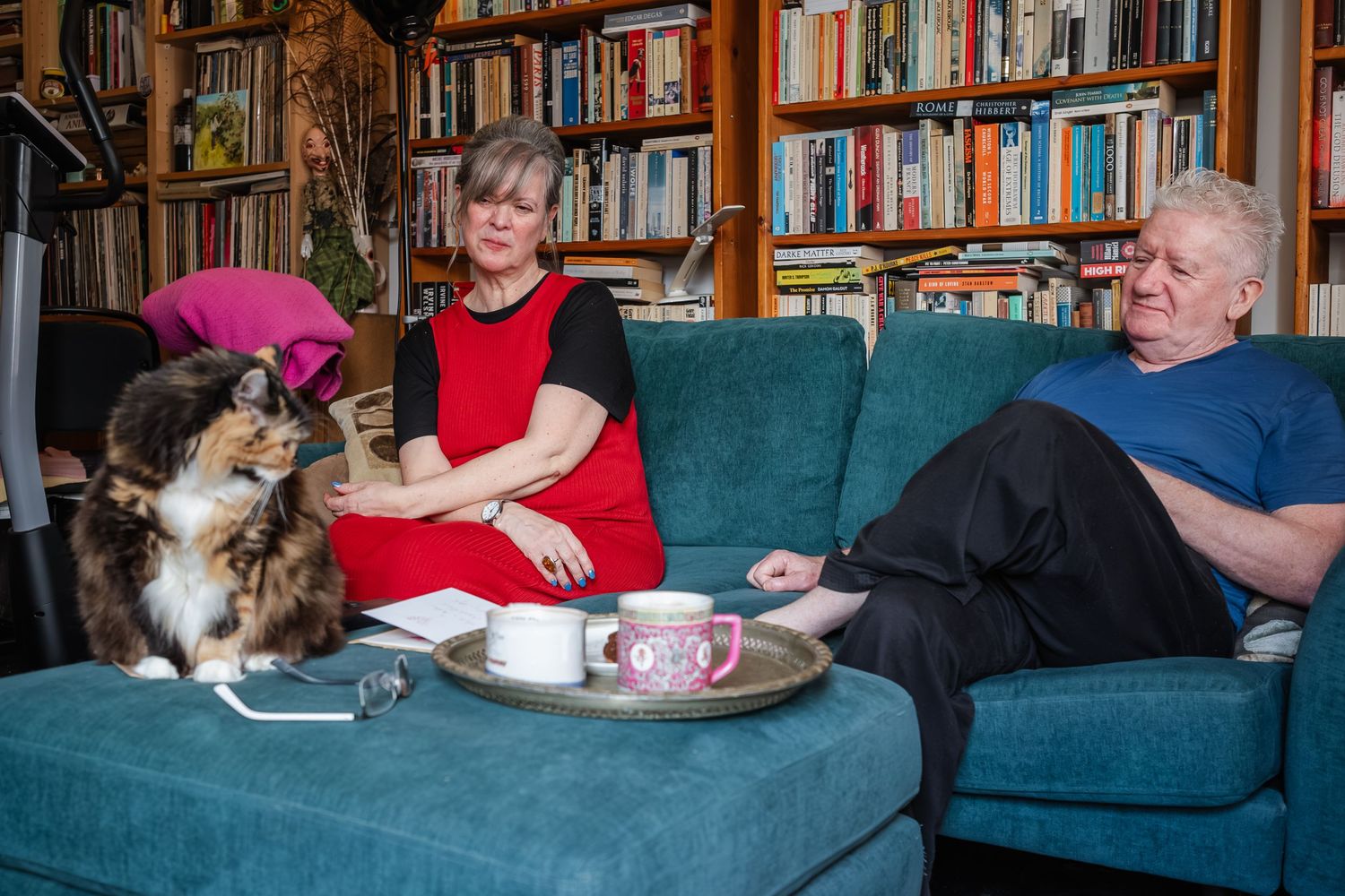 People and cat relaxing on blue couch with bookshelves in background.