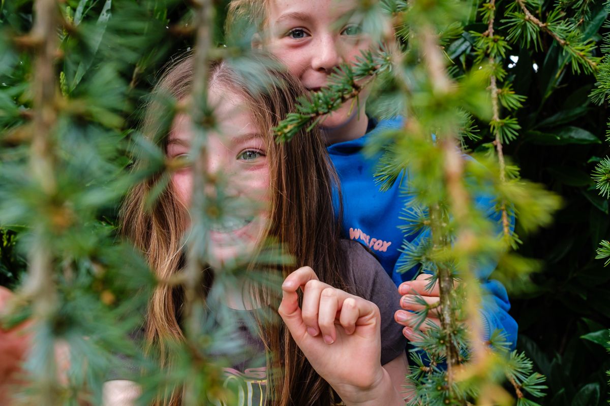Two children peek playfully through lush green tree branches outdoors.