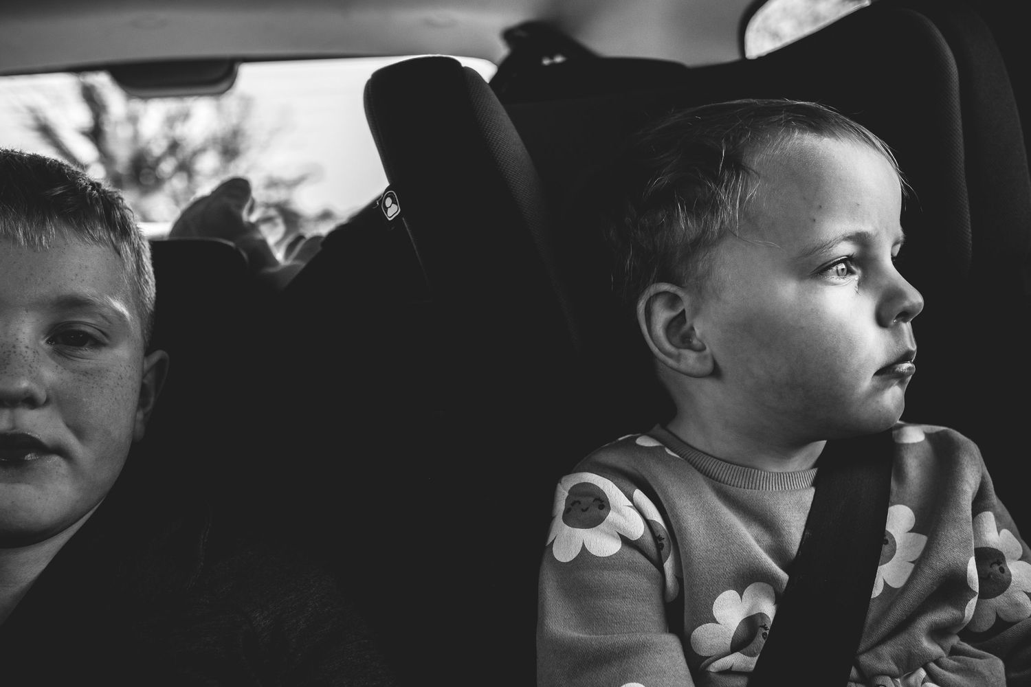 A backseat view of passengers riding in a car on a sunny day.