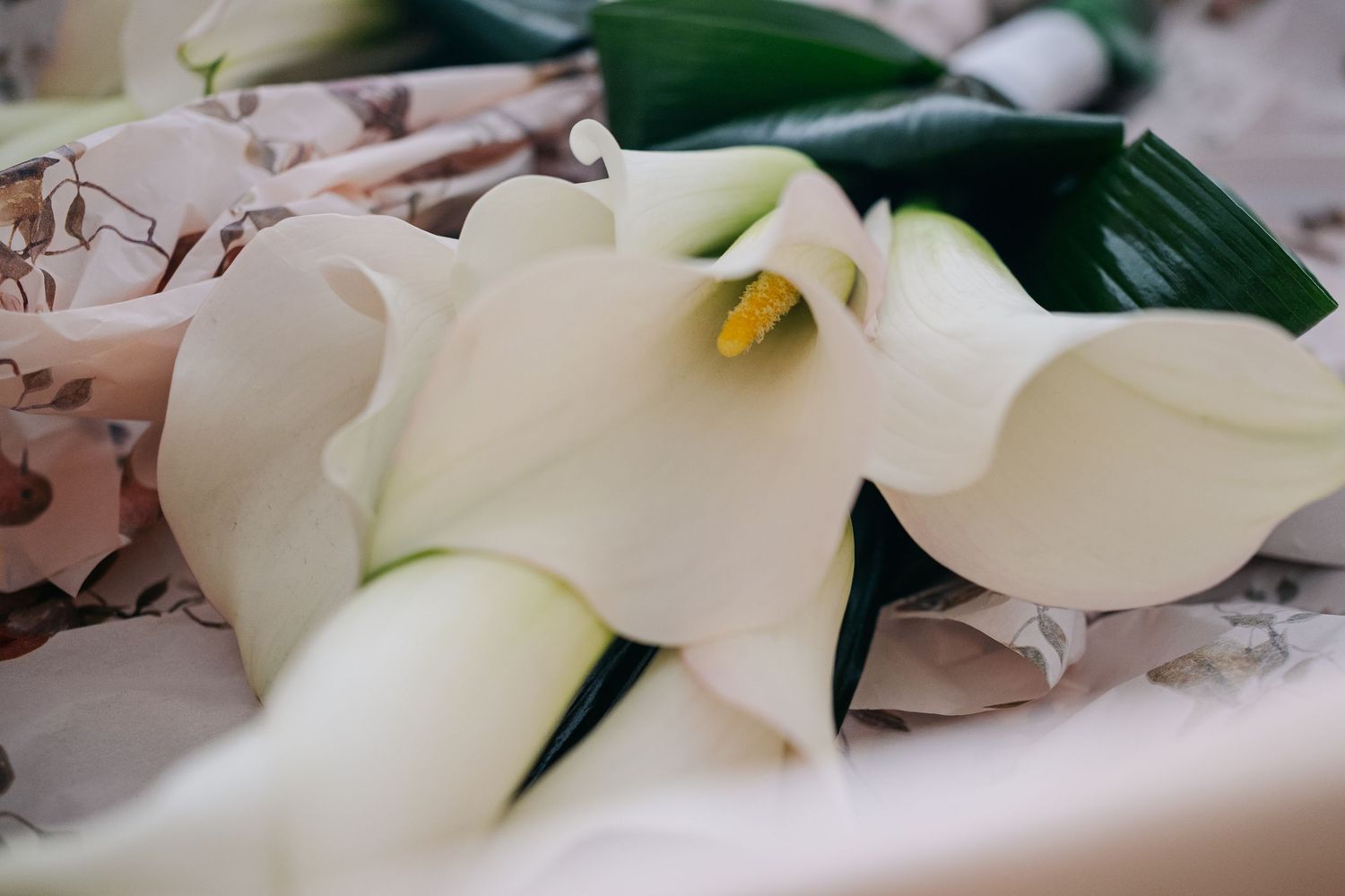 Close-up of elegant white calla lily wedding bouquet with yellow stamens and dark green leaves.