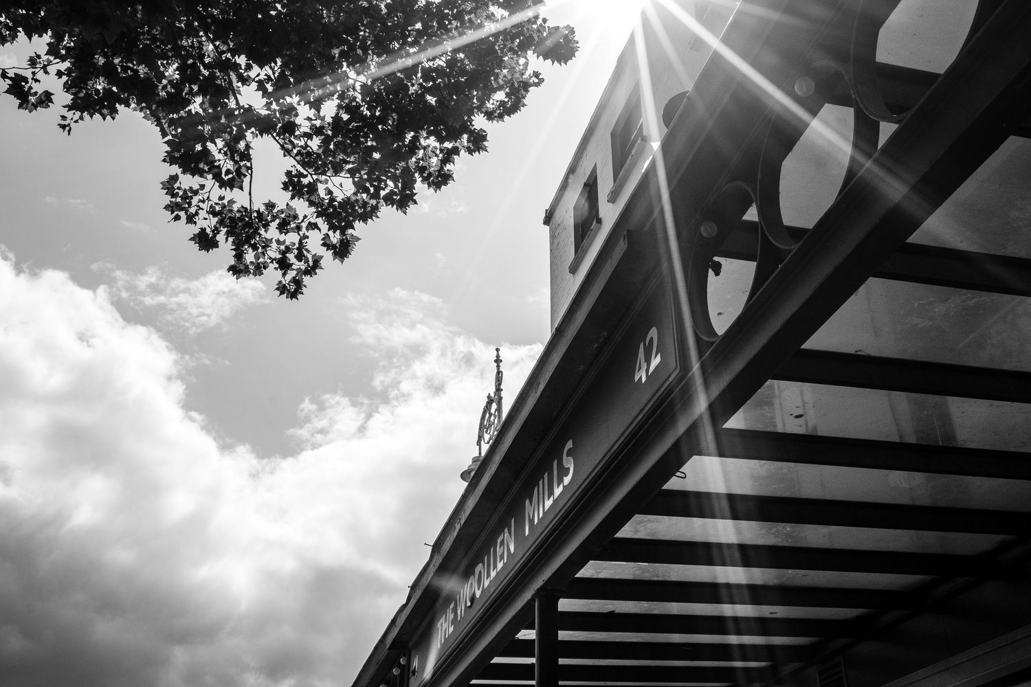 Dramatic black and white low angle view of architecture with sunburst through leaves and geometric shadows.