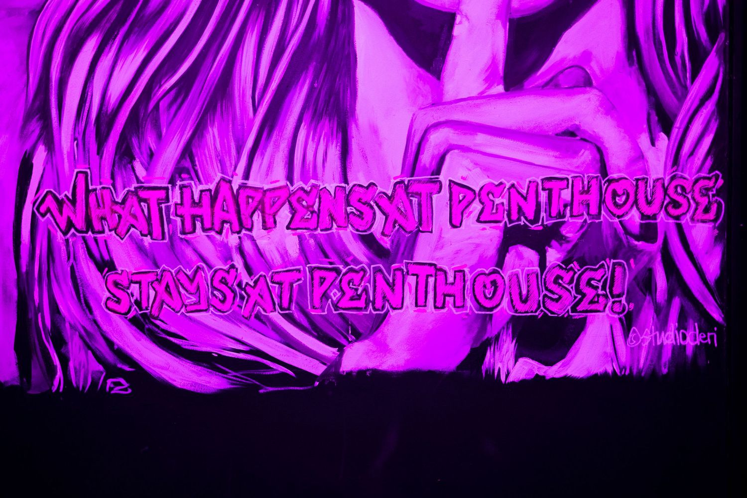 Purple neon signage with abstract designs at Penthouse Playrooms Dunstable, adult club interior photography