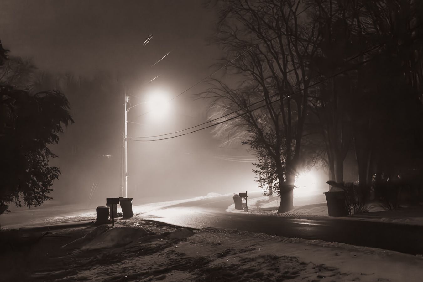 Sepia-toned foggy winter night scene with street lamps illuminating a snowy road and bare trees.