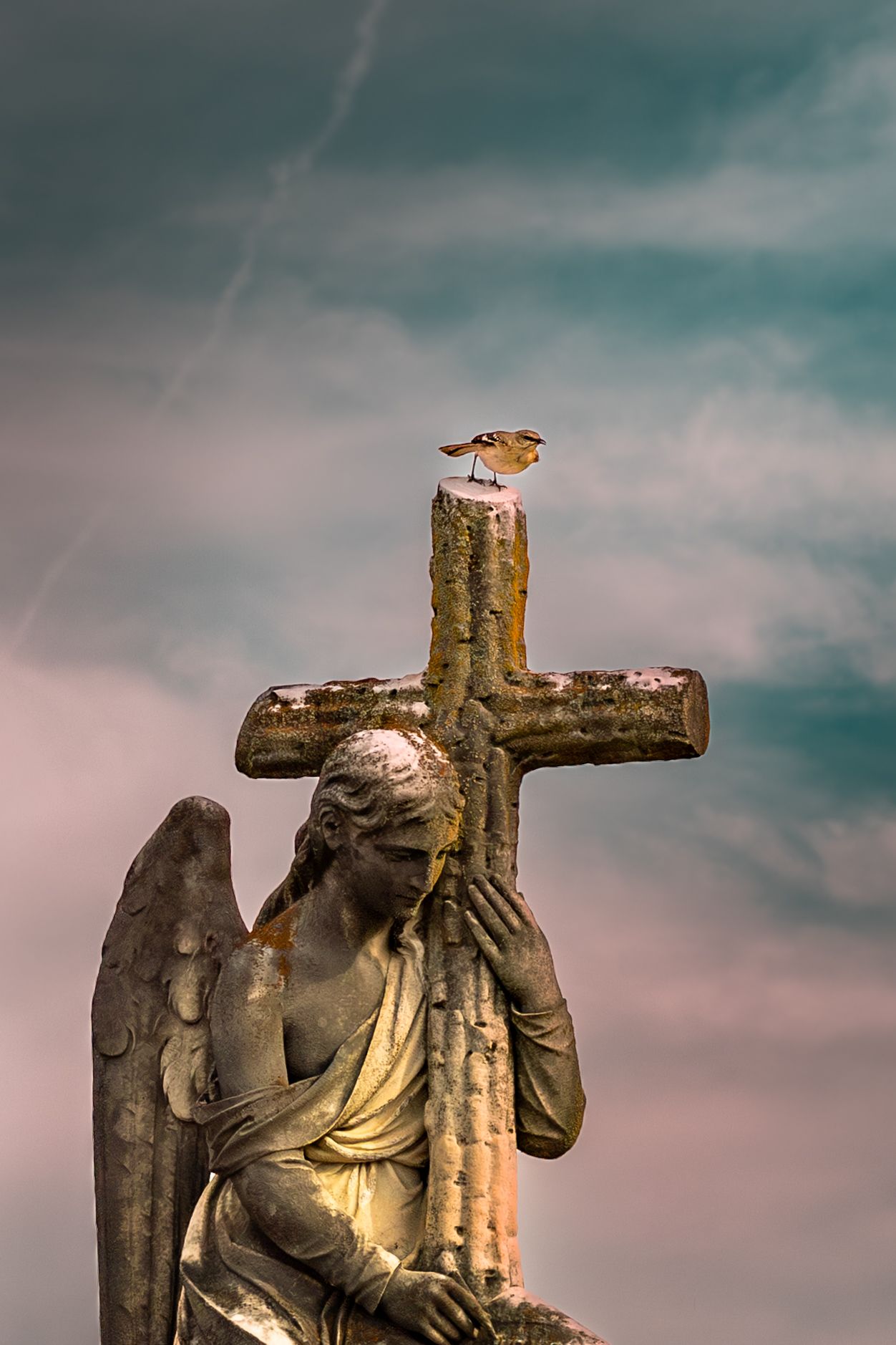 Stone angel statue holding a cross with a small bird perched on top against a dramatic cloudy sky.