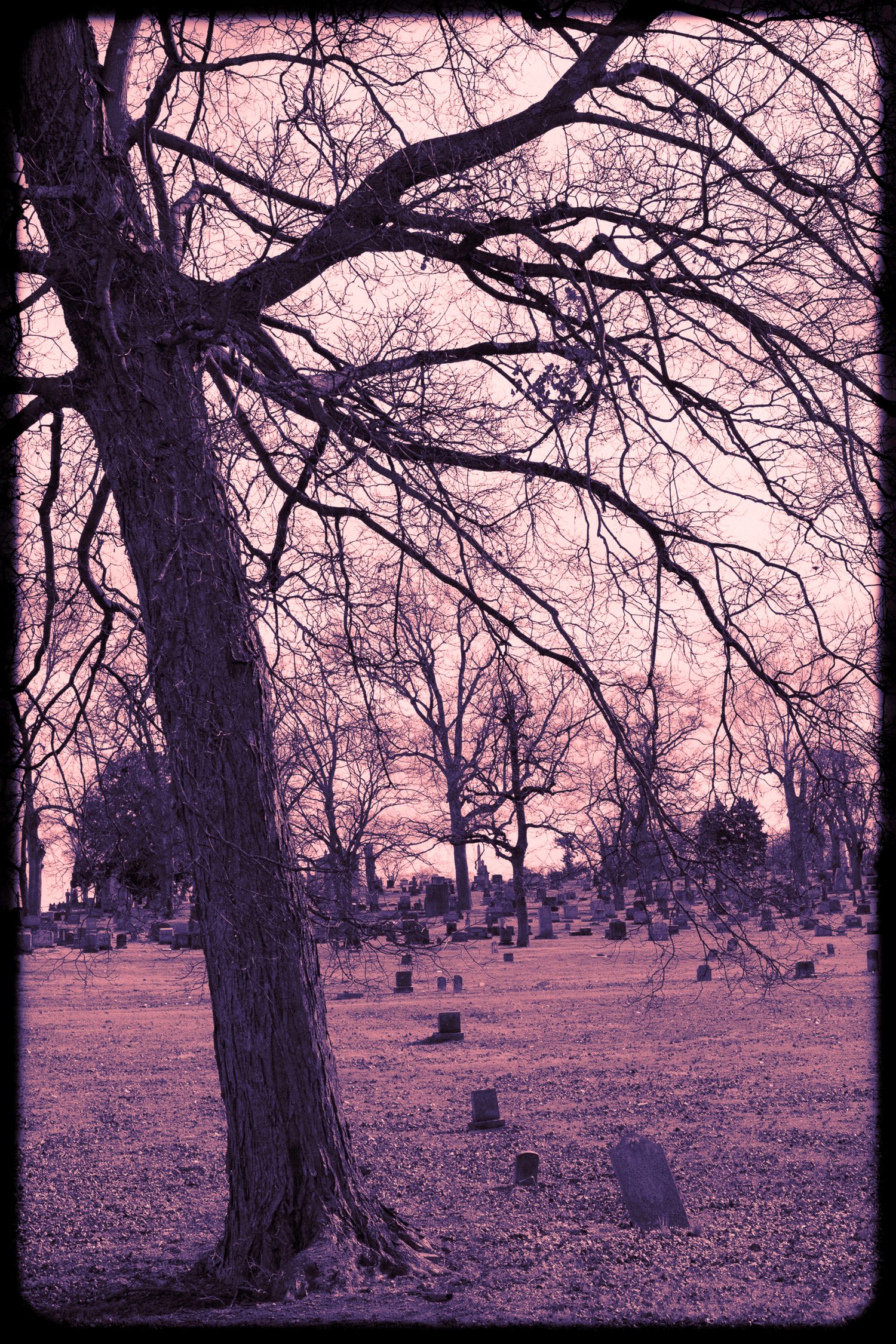 mt olivet cemetery
