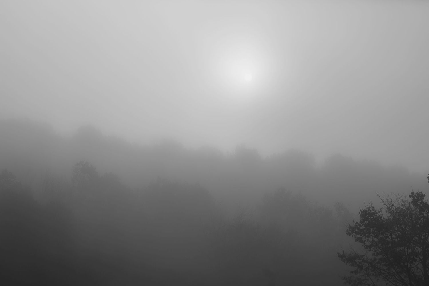 foggy morning