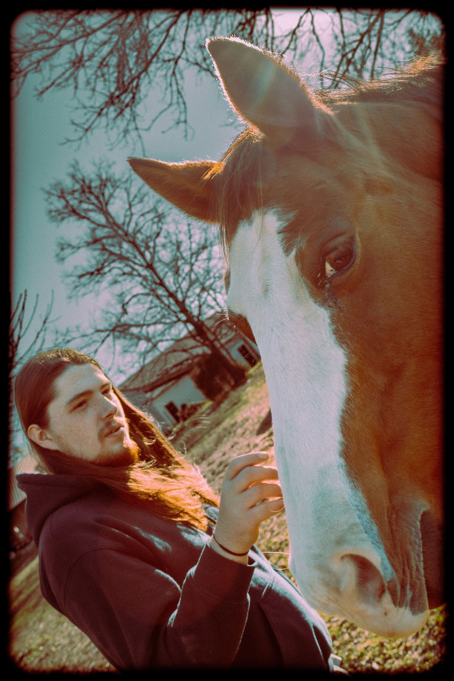 A young man with long hair gently touches a brown horse's nose outdoors near bare trees.