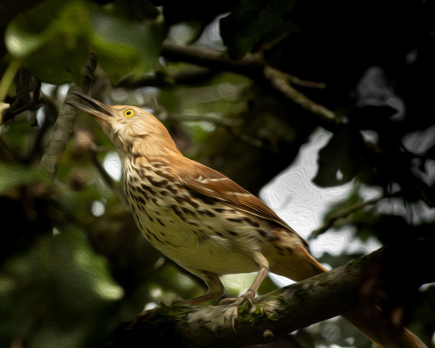 A brown thrasher bird perched on a tree branch surrounded by lush green leaves, showcasing its speckled plumage.