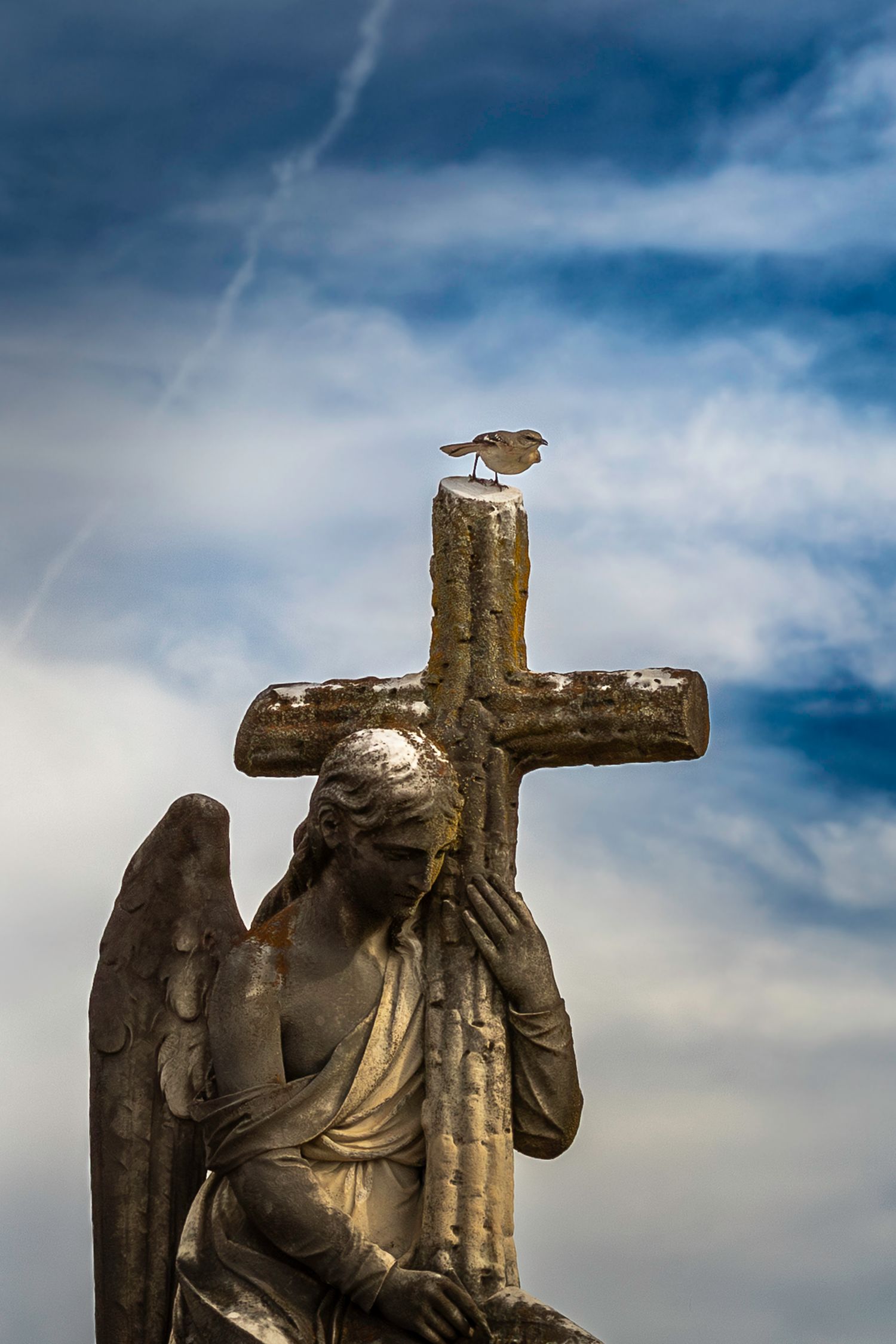 mt olivet cemetery