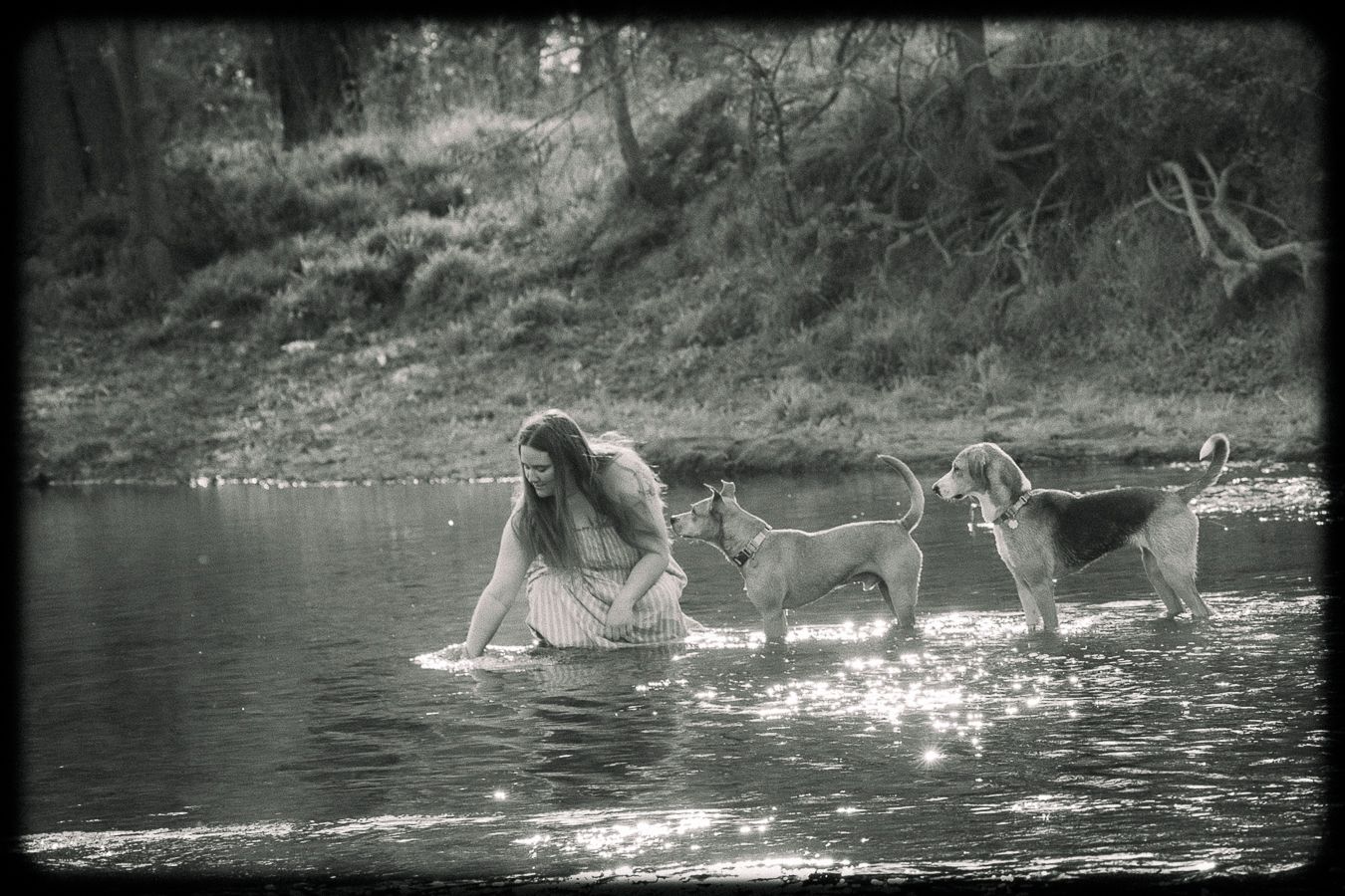 Black and white photo of a woman in a white dress wading in a river with two dogs.
