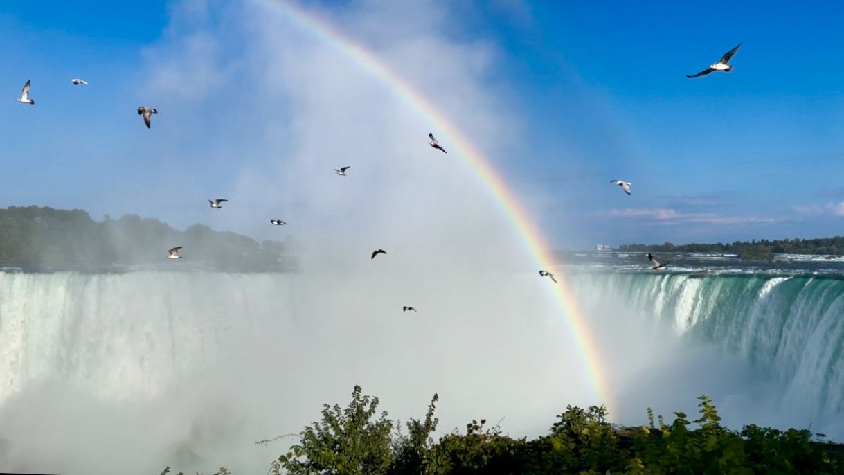 A stunning rainbow arcs over Niagara Falls as birds soar through the mist on a clear blue sky day.