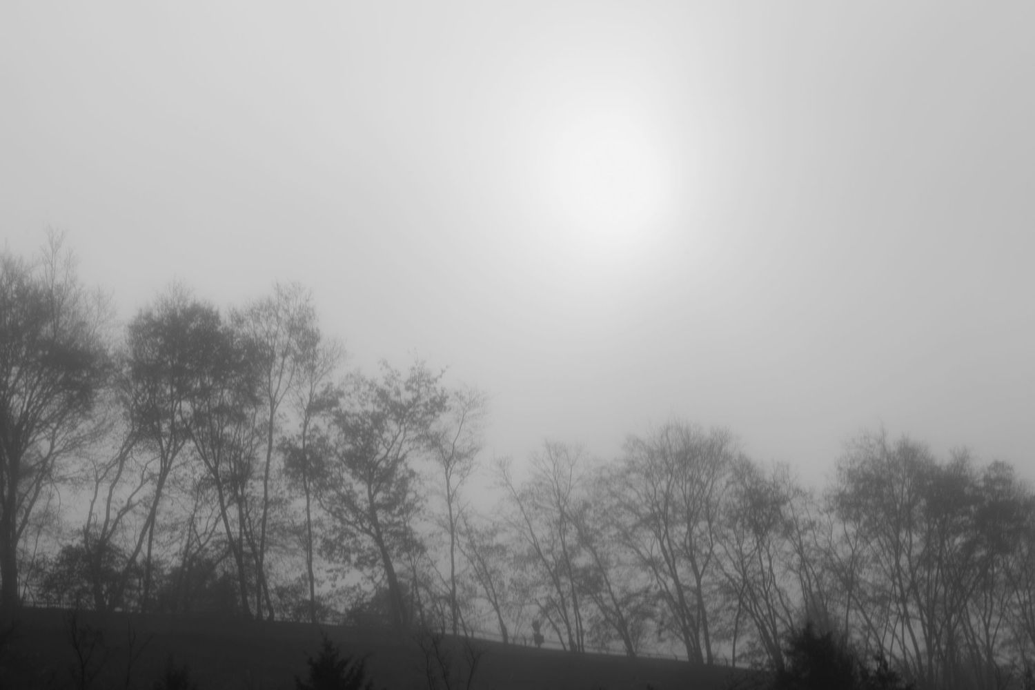 foggy morning