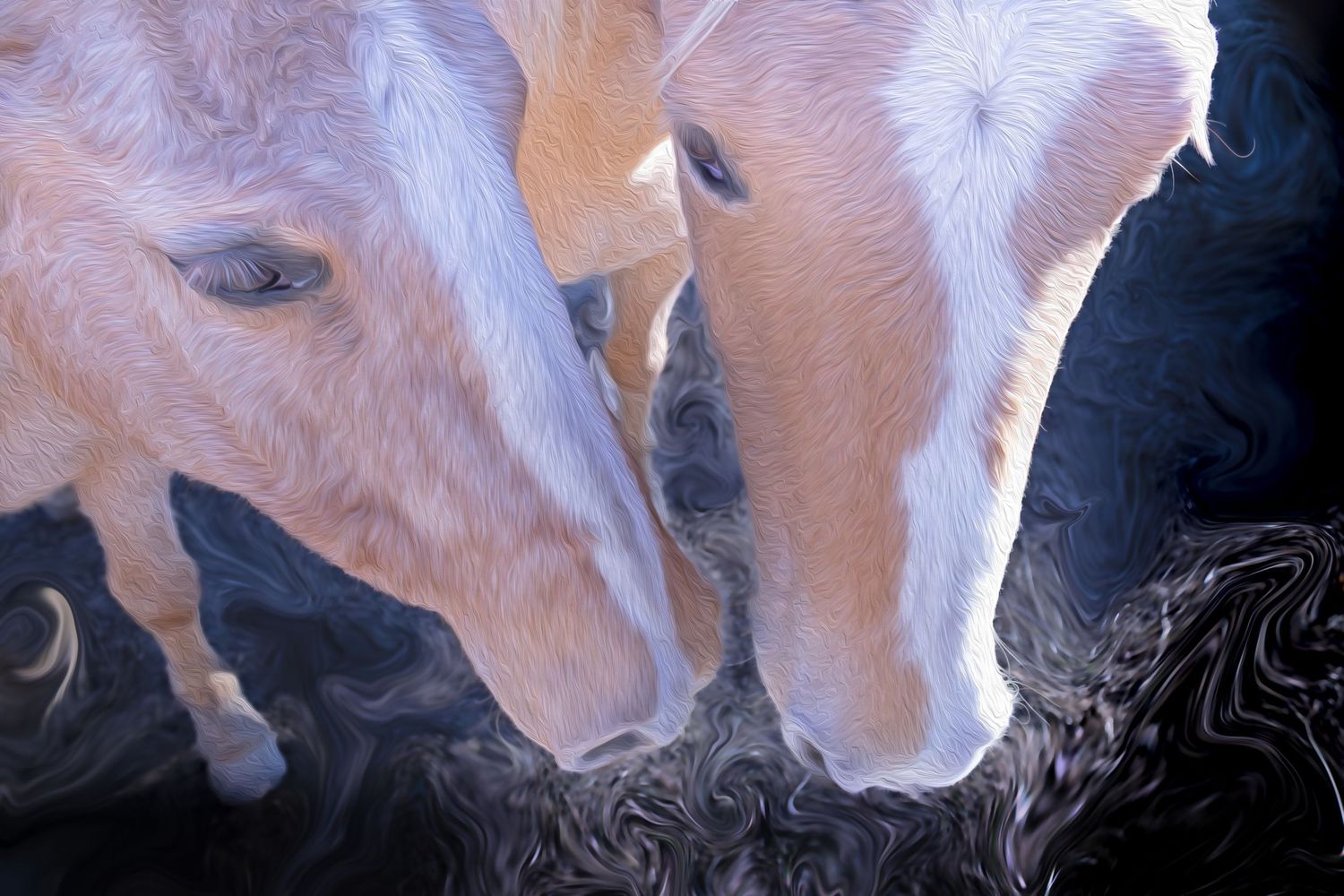 Two white horses touching noses in an artistic swirling dark background digital painting.
