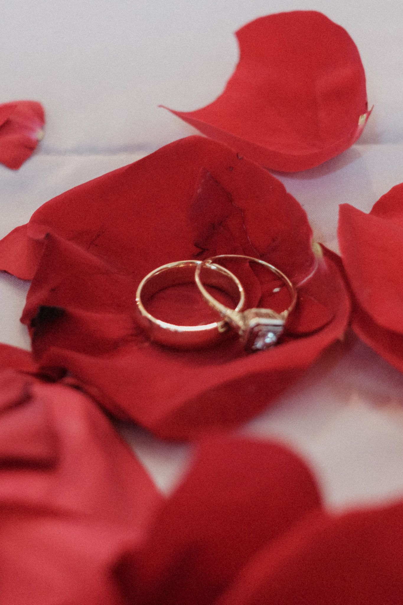 Two gold wedding rings nestled among scattered red rose petals on white surface.