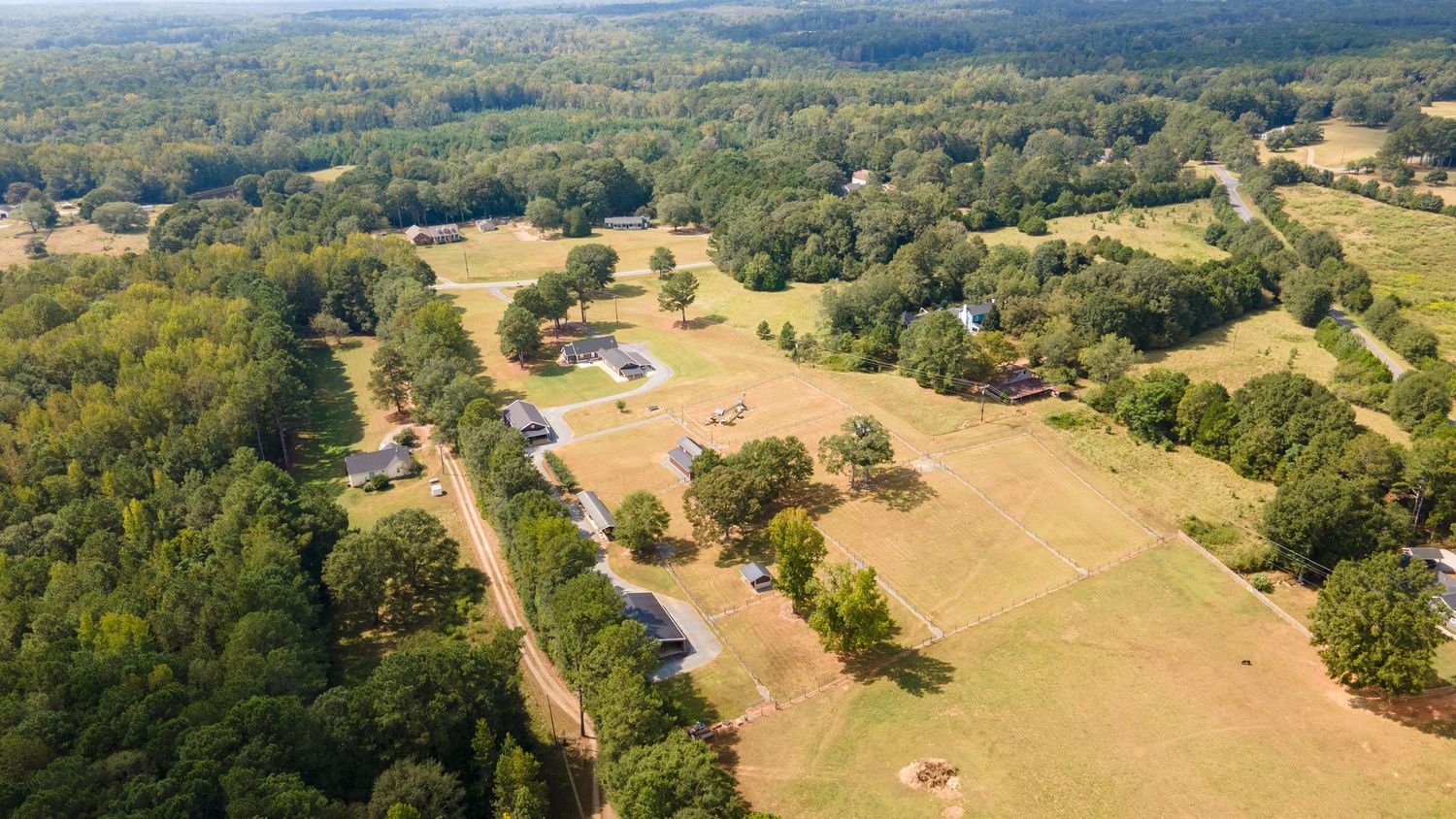 Panoramic aerial view of rolling green hills and farmland with scattered trees and winding roads in a rural landscape.