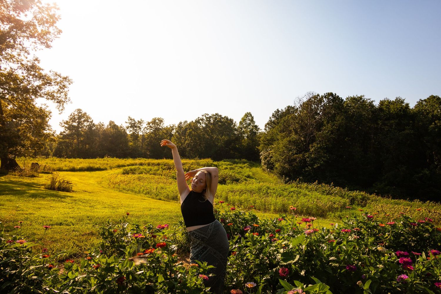 A series of scenic farm field images showing wildflowers and crops at sunset with golden light filtering through trees.