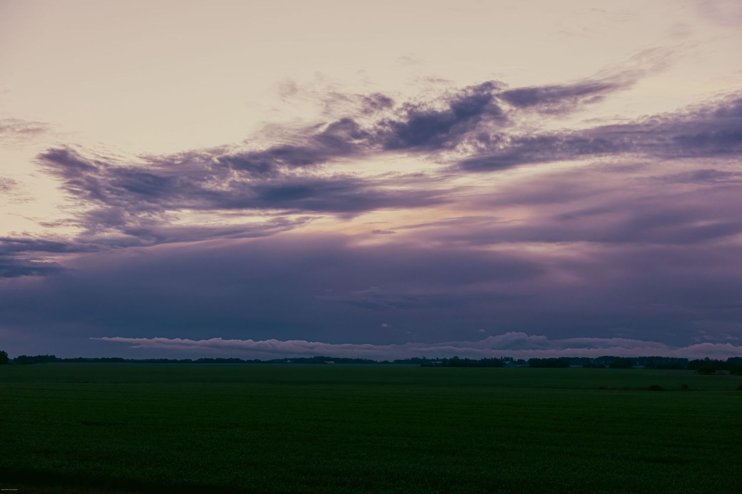 Dramatic purple and pink sunset sky over a green rural field with silhouetted trees on the horizon.