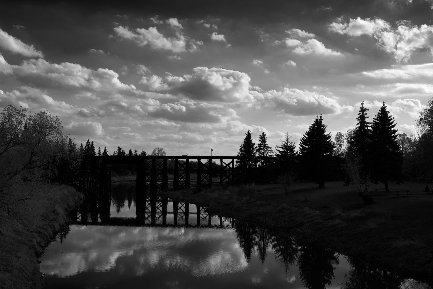 A dramatic black and white panoramic landscape shows silhouetted pine trees against a cloudy sky with sunlight breaking through.