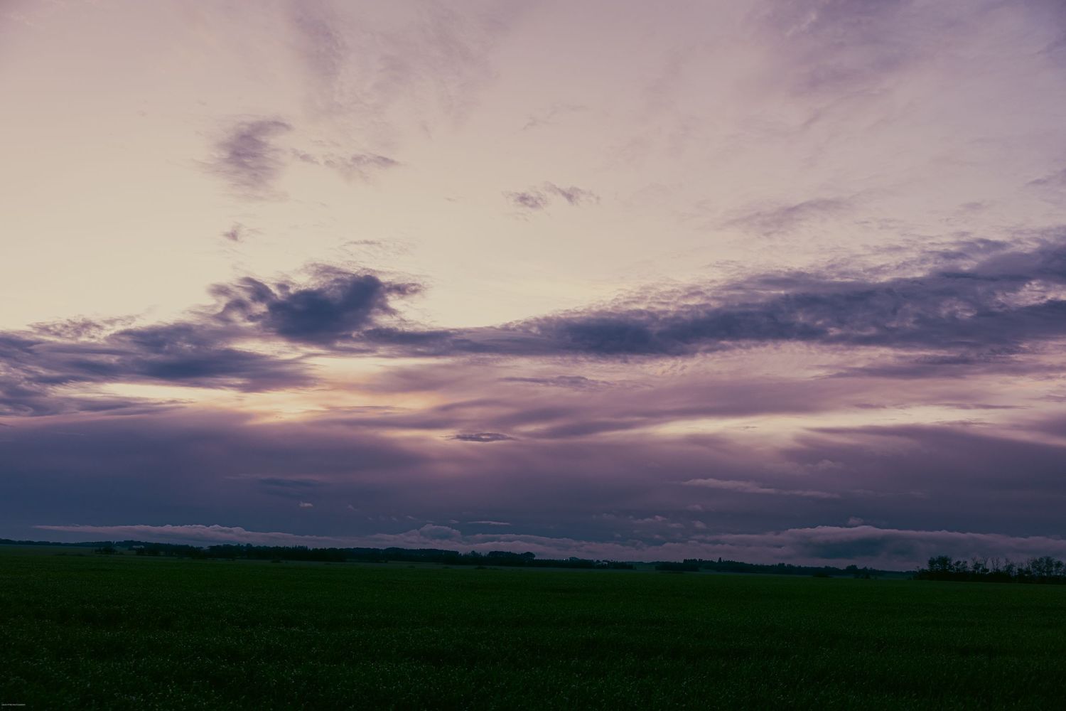 A dramatic purple and pink sunset sky stretches over a dark green field with rolling hills in the distance.