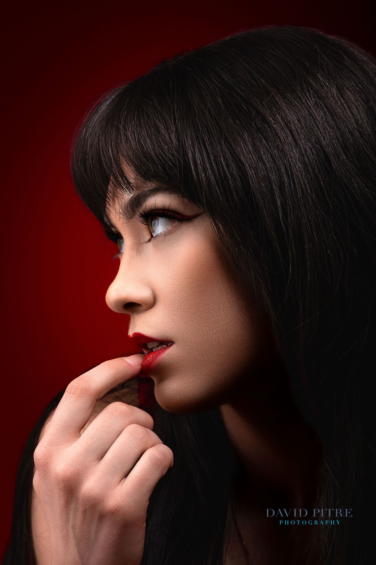 A series of dramatic profile portraits with dark hair and red lipstick against a deep red and black background.