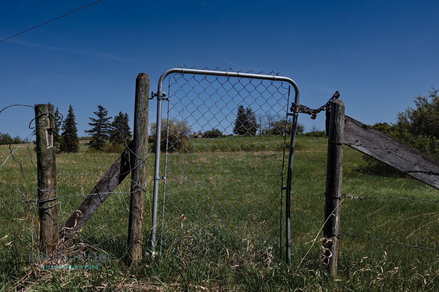 A rustic metal gate stands between wooden fence posts in a sunny green field under bright blue sky.