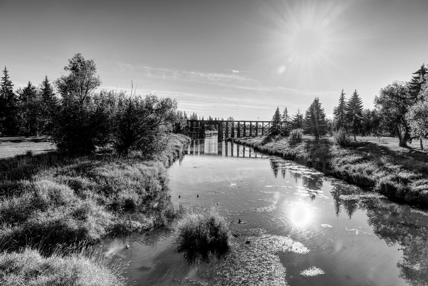 A series of black and white landscape photographs showing scenic waterways and bridges in natural settings.
