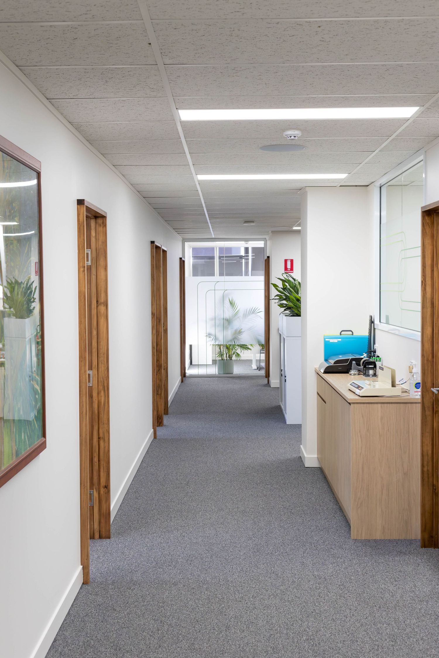 Long office hallway with wooden doors, grey carpet and white walls.